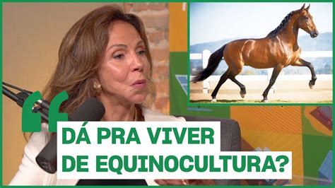 O Mangalarga Marchador é um negócio rentável agro agro360podcast