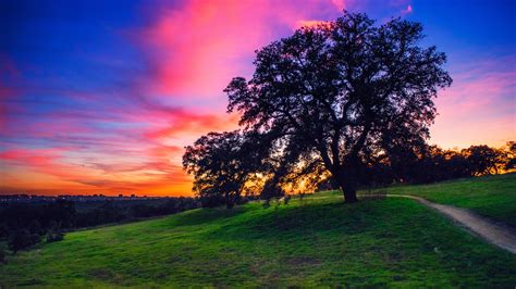 Free Images Landscape Tree Nature Horizon Cloud Sunrise Sunset