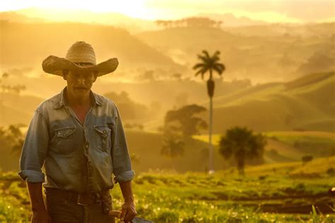 La Influencia Del Machete En La Eficiencia De La Agricultura Familiar