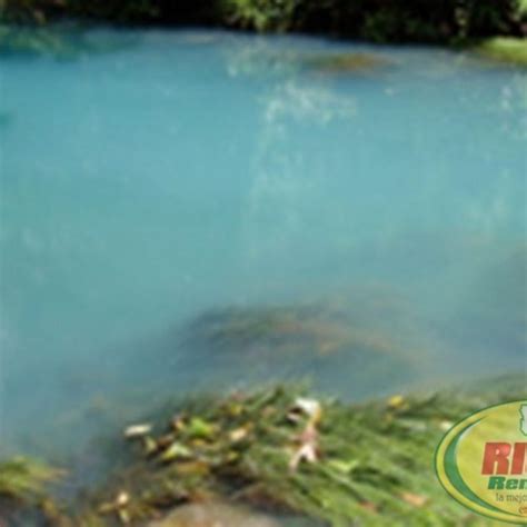 Parque Nacional Volc N Tenorio Alquiler De Carros En Costa Rica