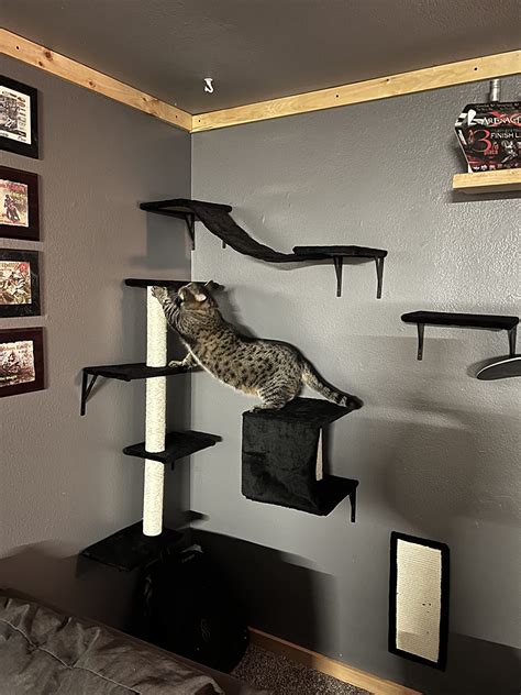 Cat Tree Climber Shelves Pcs Wood Wall Mounted Cat Climber Set