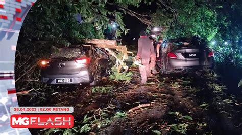 Pemandu Maut Kereta Dihempap Pokok Tumbang MGFlash YouTube