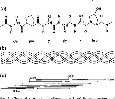 Pdf Collagen Biomaterial For Drug Delivery 1 Semantic Scholar