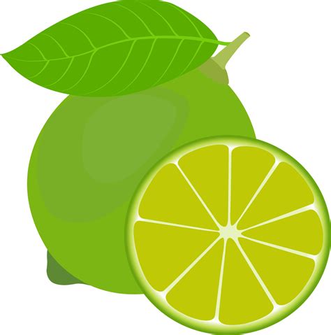 Fruta Dibujo Clipart Limon Clipart Logotipo De Fruta Conjunto De Images