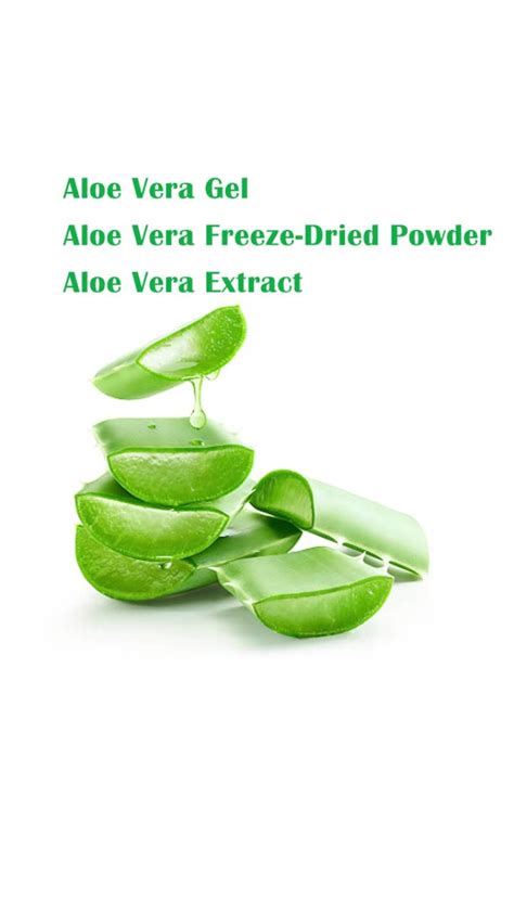 Wholesale Bulk 100x 200x Organic Aloe Vera Extract Powder Aloe Vera Gel