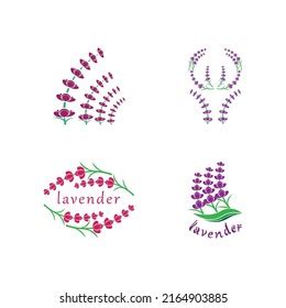 Fresh Lavender Flower Logo Vector Flat Stock Vector Royalty Free