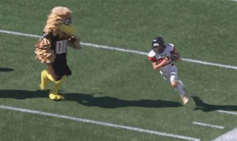 Nfl World Reacts To The Viral Mascot Hit Video The Spun