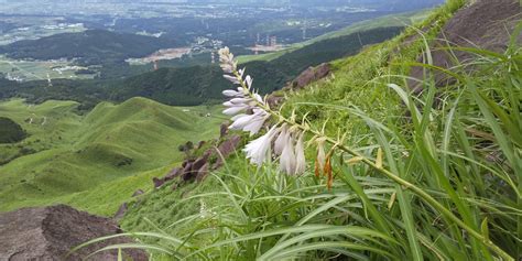 一ノ峯・二ノ峯 Atajaさんの俵山・冠ヶ岳・清栄山の活動データ Yamap ヤマップ