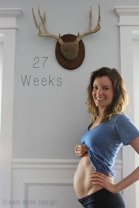 Pregnant Belly Pics 27 Weeks - pregnantbelly