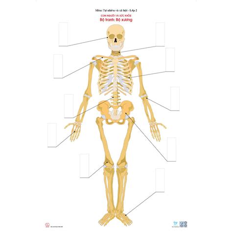 bo xuong thandongdatvietcom