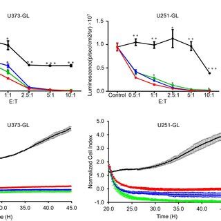 Comparison Of Anti Tumor Effects Of The Three Different CAR T Cells In