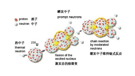 研究型中子源简介 Neutron Sources 肖荫果 Yinguo Xiao