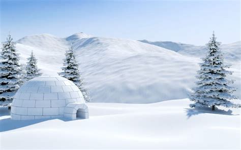 雪山北極の風景シーン3 Dレンダリングと雪原のイグルーと松林 プレミアム写真 Arctic landscape Snow