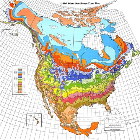 Understanding World Hardiness Zones Plant Hardiness Zones In Other