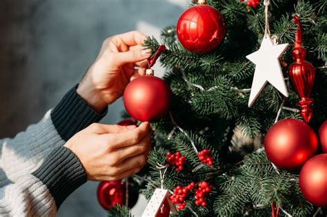 Combien De Boules De No L Accrocher Sur Un Sapin Gamm Vert