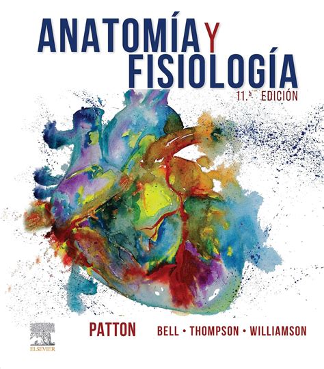 Anatomía y fisiología eBook Patton Kevin T Bell Frank B