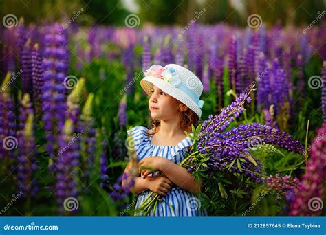 Schönes Mädchen Im Kleid Und Hut Auf Dem Gebiet Von Lupinen Mädchen