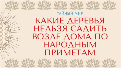 Какие деревья нельзя садить возле дома по народным приметам - YouTube