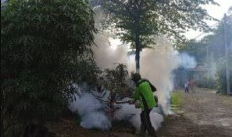 13 Pendaki Hilang Kontak Di Gunung Pangrango Bogor Lentera Today