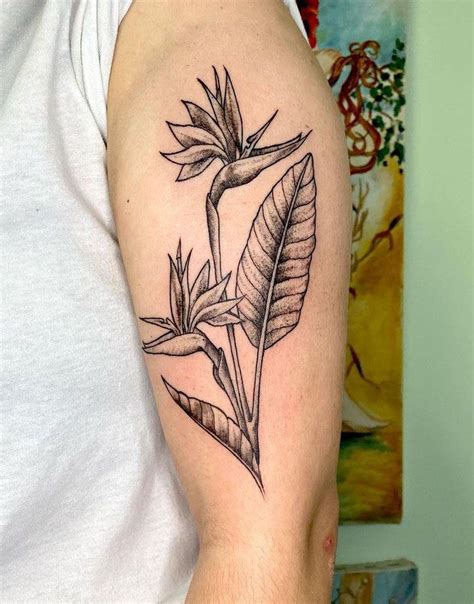 30 Pretty Bird Of Paradise Tattoos You Must See In 2022 Bird Of