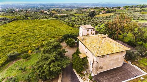 Rome Wine Tour in Frascati with Vineyard Visit