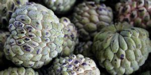 Durian Fruta Benef Cios Informa O Nutricional E Malef Cios Dr