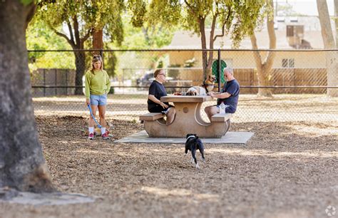 About Downtown Modesto Schools Demographics Things To Do