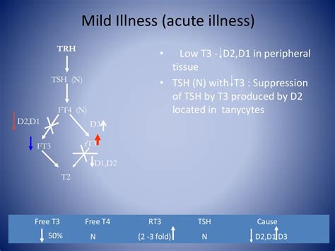 Sick euthyroid syndrome