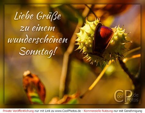 Coolphotos De Sonntag Liebe Grüße Zu Einem Wunderschönen Sonntag