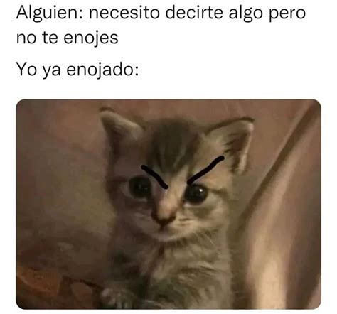 Alguien Necesito Decirte Algo Pero No Te Enojes Yo Ya Enojado Memes