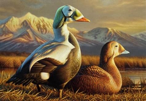 South Dakota Artist Adam Grimm Wins Federal Duck Stamp Art Contest