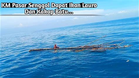 KM Pasar Senggol Mendapatkan Ikan Lauro Dan Kakap Batu 24 Januari