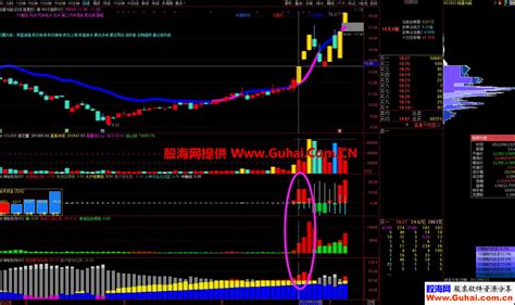 通达信【神秘机构筹码】套装主图幅图指标 了解机构占主导地位 骑牛吃大肉肉 源码文件分享 通达信公式 公式网