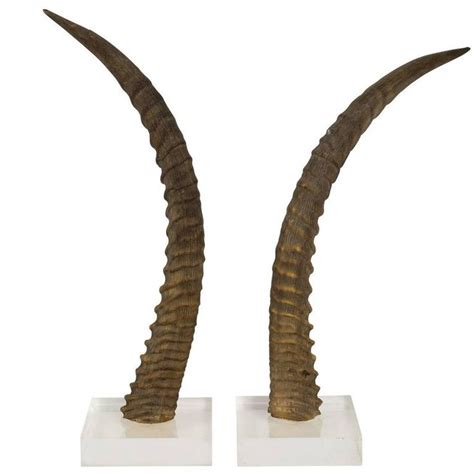 Decorative Antelope Horns | Antelope horns, Horns, Horns decor