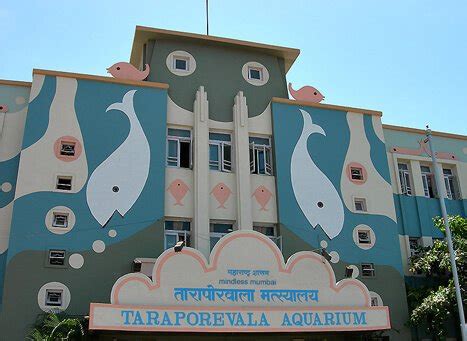 Taraporewala Aquarium Mumbai: Best Museum to See in Maharashtra