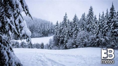 Cronaca Diretta Tanta Neve A Cortina Video B Meteo