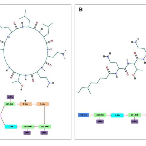 The General Structure Of The Cyclic Cationic Peptide A Polymyxin E