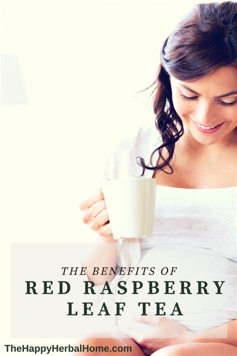 5 Fantastic Benefits of Red Raspberry Leaf Tea | The Happy Herbal Home