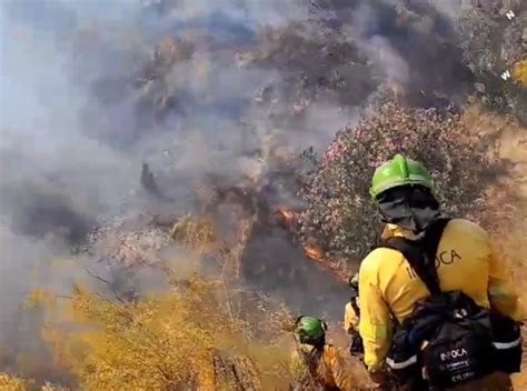 Activada la época de peligro alto de incendios forestales del Plan