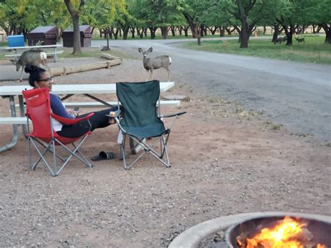 Fruita Campground How To Camp At Capitol Reef National Park Grounded