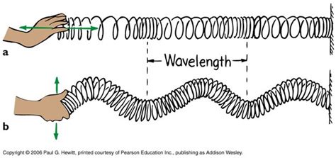 Examples Of Compression Waves