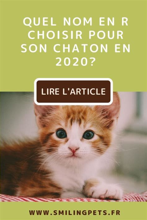 Noms De Chat En R En 2020 Noms De Chat Chat Femelle Chat