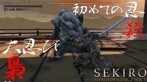 【sekiro Shadows Die Twice】隻狼～初めての忍殺（初見プレイ初突破）～大忍び 梟戦 Youtube