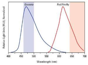 Gaussia Firefly Luciferase Dual Assay Kit Pierce Thermo Scientific Vwr