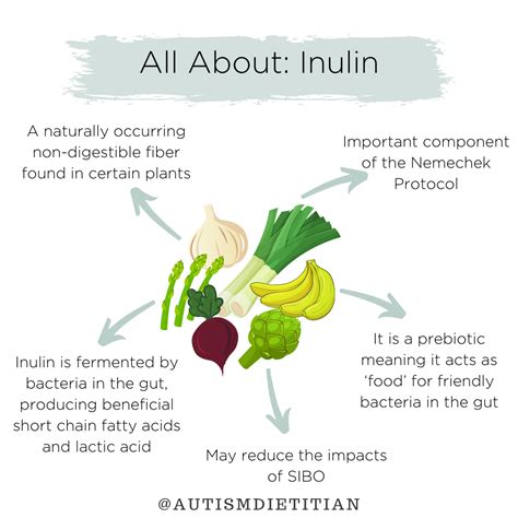 Inulin — Autism Nutrition Library