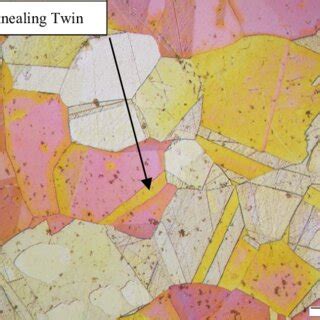 Microstructure Images From Transverse Cross Sections Of Pre Specimen At