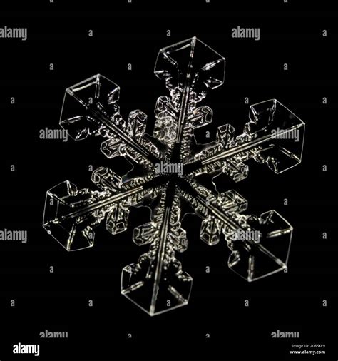 Snowflake magnified under microscope hi-res stock photography and ...