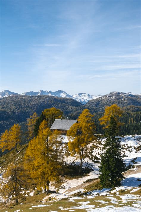 Hiking Above Bohinj Krstenica Plateau Mt Jezerski Stog Mt Adam And