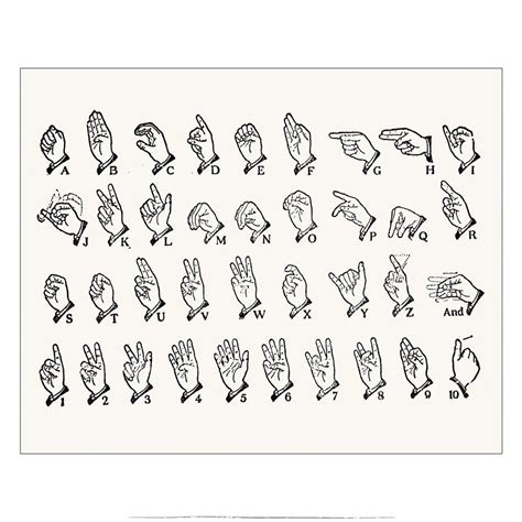 American Sign Language Alphabet