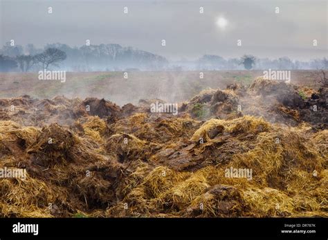 Manure Dung Hi Res Stock Photography And Images Alamy